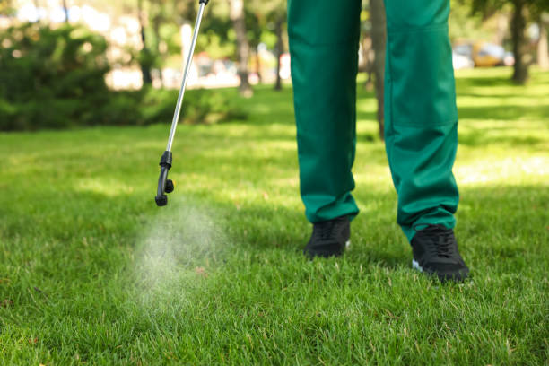 Best Pest Inspection Near Me  in Wickliffe, OH