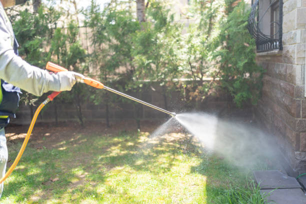 Best Bird Control  in Wickliffe, OH