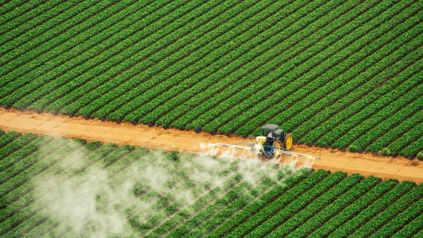 Best Ant Control Services  in Wickliffe, OH