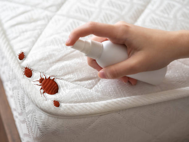 Best Flea Control Services  in Wickliffe, OH