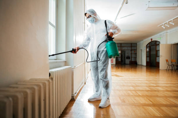 Flea Control Services in Wickliffe, OH